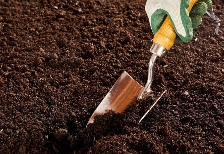 The Hidden Dangers Lurking in Your Garden Soil