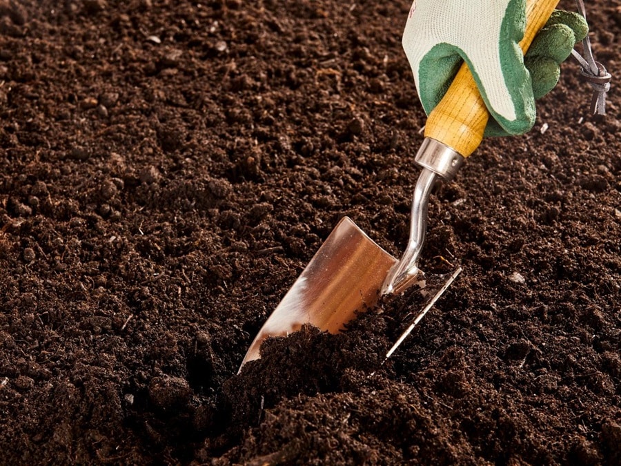 The Hidden Dangers Lurking in Your Garden Soil